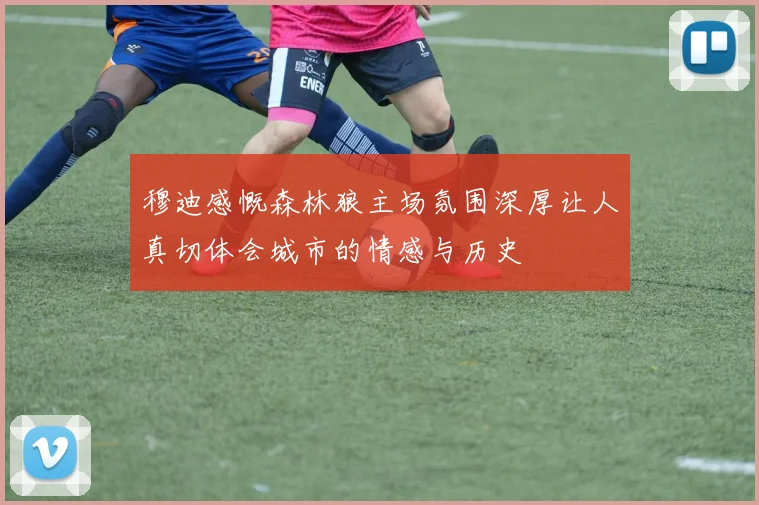 穆迪感慨森林狼主场氛围深厚让人真切体会城市的情感与历史
