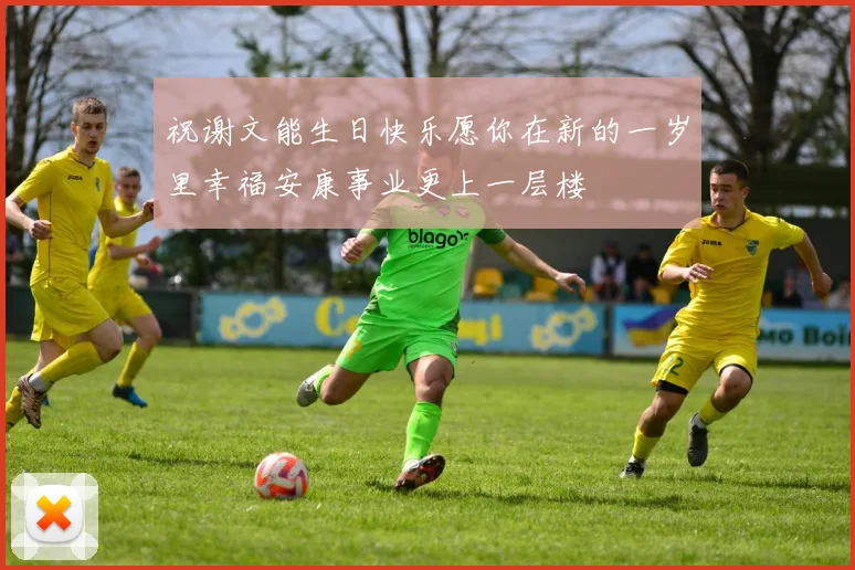 祝谢文能生日快乐愿你在新的一岁里幸福安康事业更上一层楼